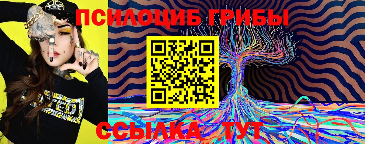 Галлюциногенные грибы мухоморы  Вход с VPN  Галлюциногенные грибы прущие грибы  Кстово 