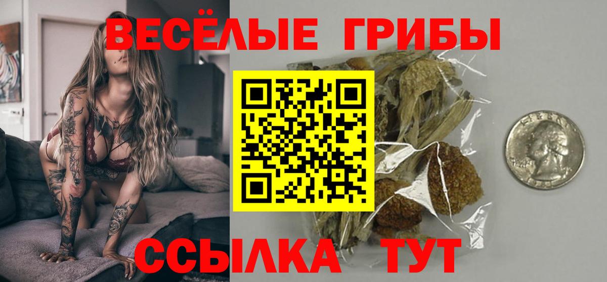 Псилоцибиновые грибы Cubensis Кстово